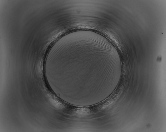 X0000099950398200806201318