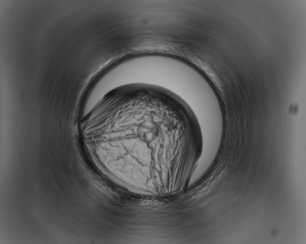X0000099950399200806201318