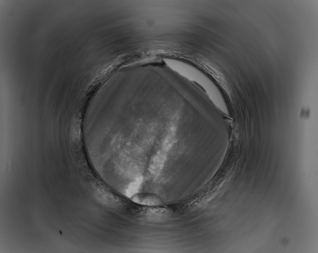 X0000099950401200806201318