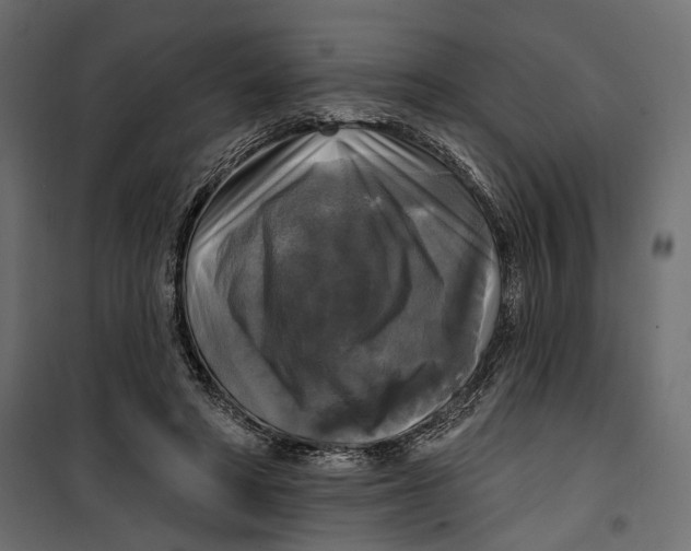 X0000099950402200806201318