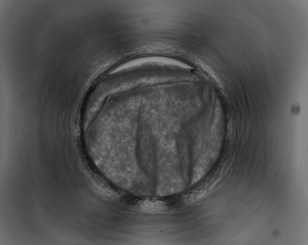 X0000099950403200806201318