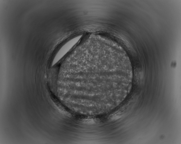 X0000099950404200806201318