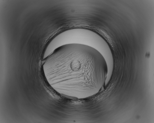 X0000099950405200806201318