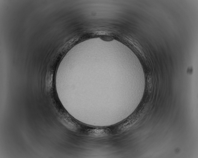 X0000099950406200806201318