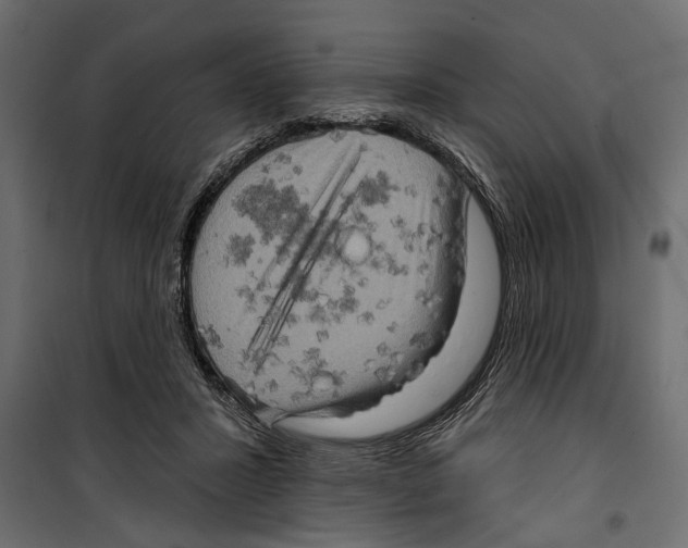 X0000099950407200806201318