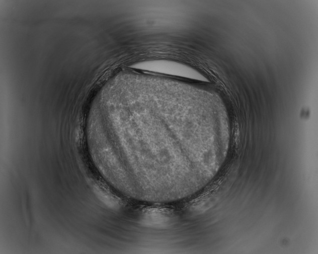 X0000099950408200806201318