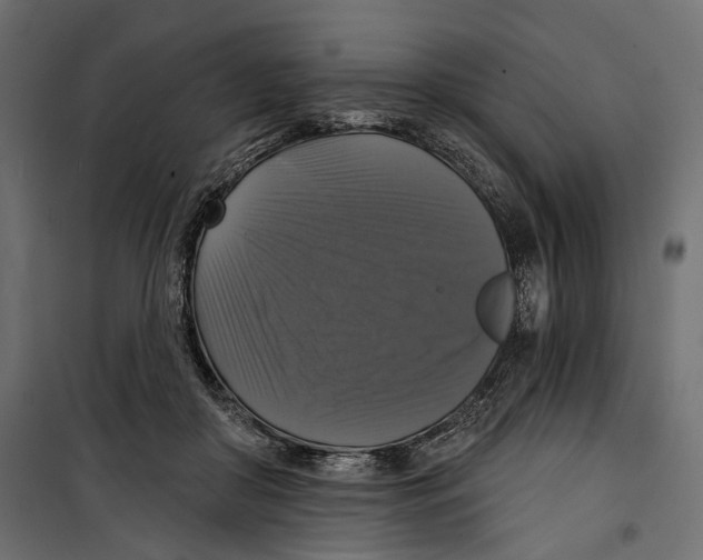 X0000099950410200806201318