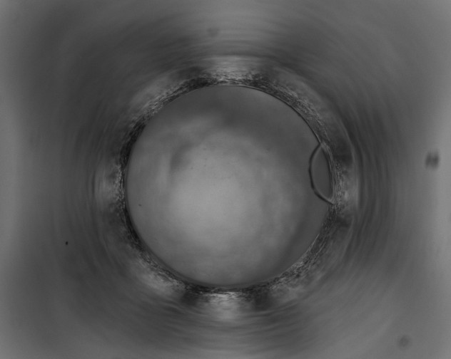 X0000099950411200806201318