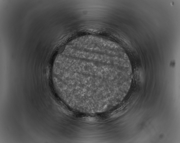 X0000099950412200806201318