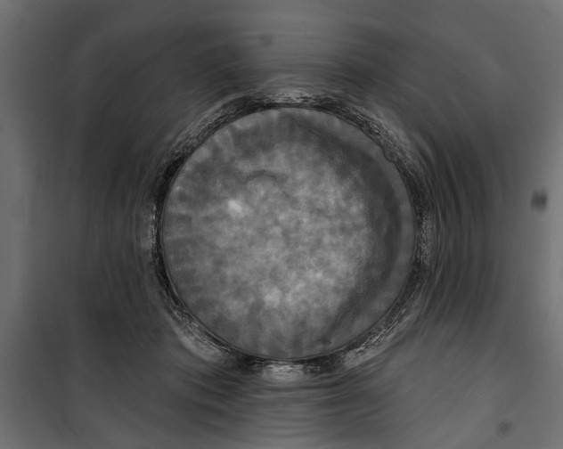 X0000099950413200806201318