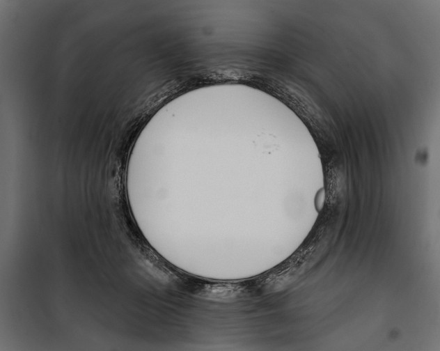 X0000099950414200806201318