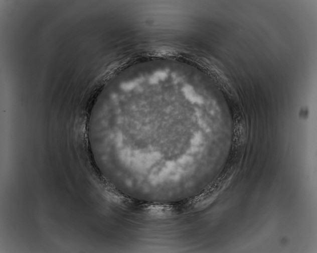X0000099950415200806201318