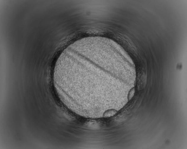 X0000099950416200806201318