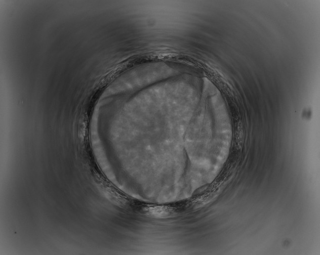 X0000099950417200806201318