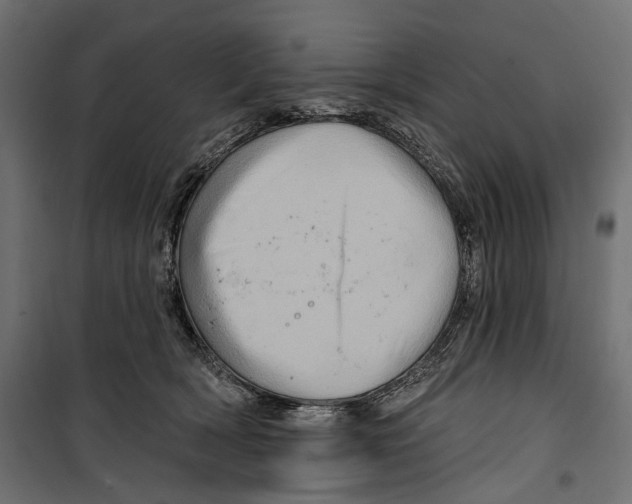X0000099950418200806201318