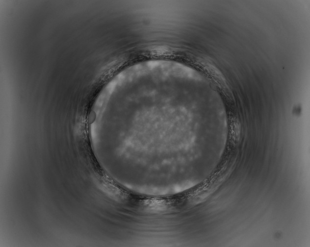X0000099950419200806201318