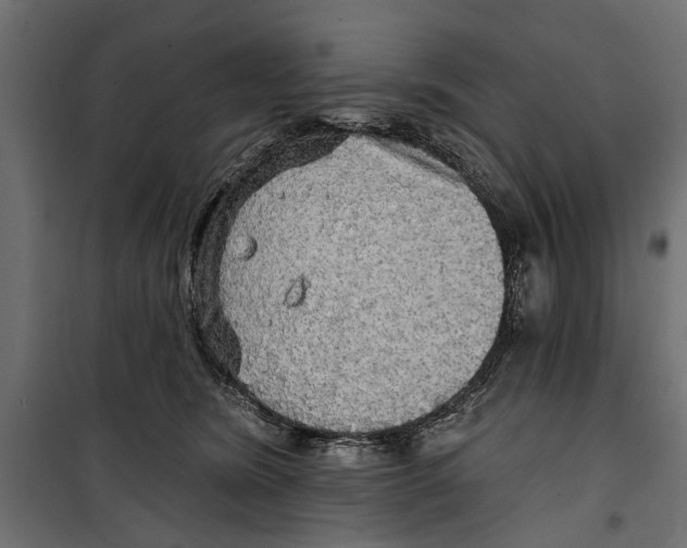 X0000099950420200806201318