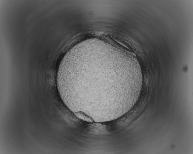 X0000099950421200806201318