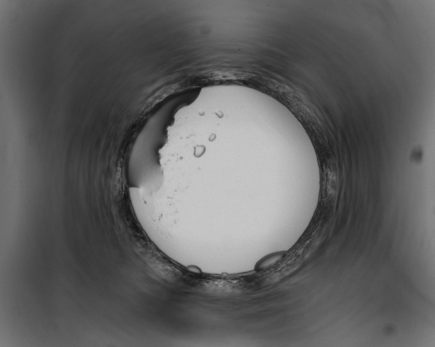 X0000099950422200806201318