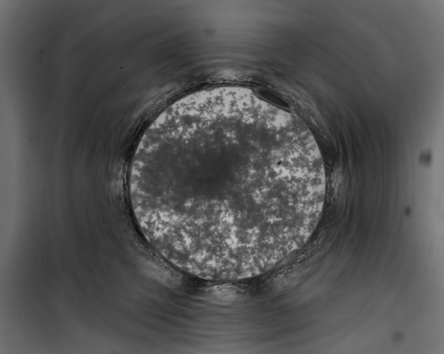 X0000099950423200806201318