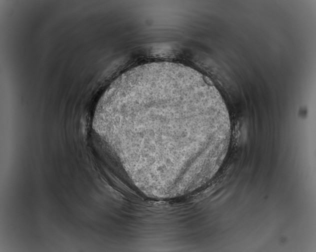 X0000099950424200806201318