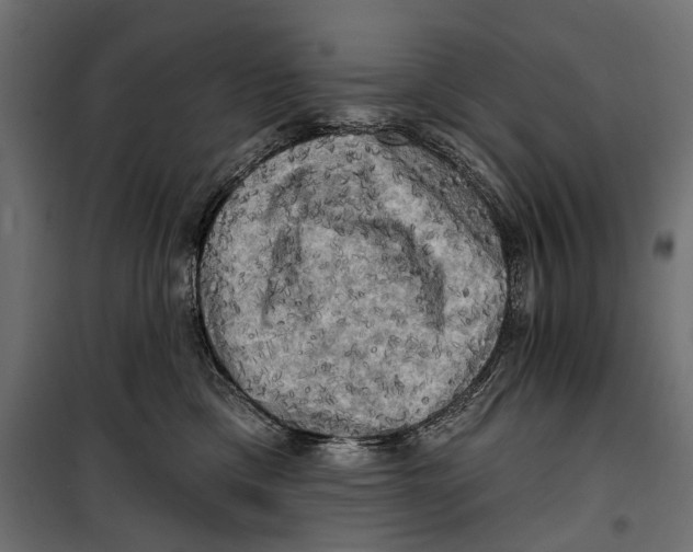 X0000099950425200806201318