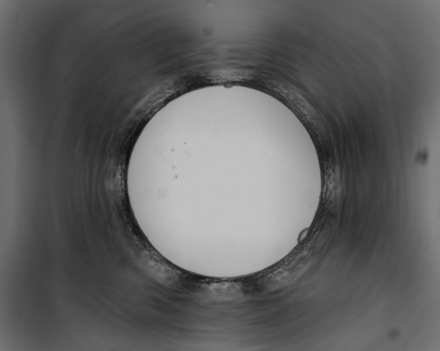 X0000099950426200806201318