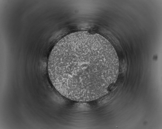 X0000099950427200806201318