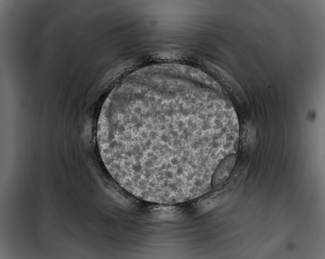 X0000099950428200806201318