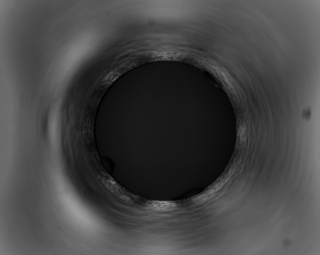 X0000099950429200806201318