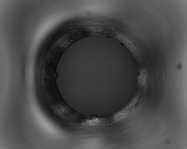 X0000099950430200806201318
