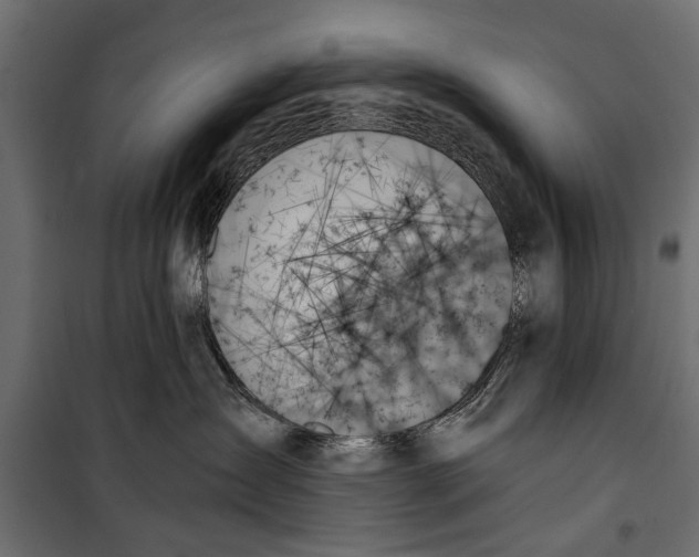 X0000099950431200806201318