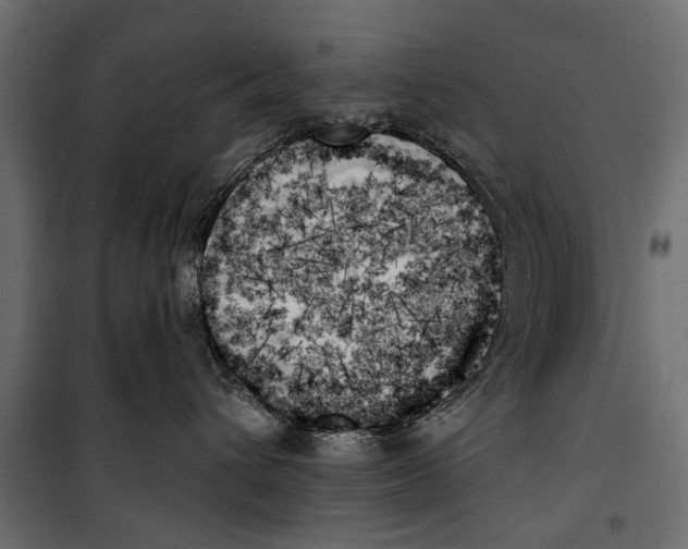 X0000099950432200806201318