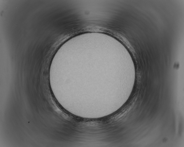 X0000099950433200806201317