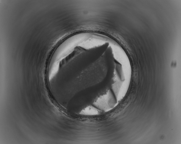 X0000099950434200806201317