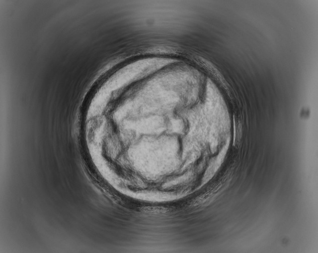 X0000099950435200806201317
