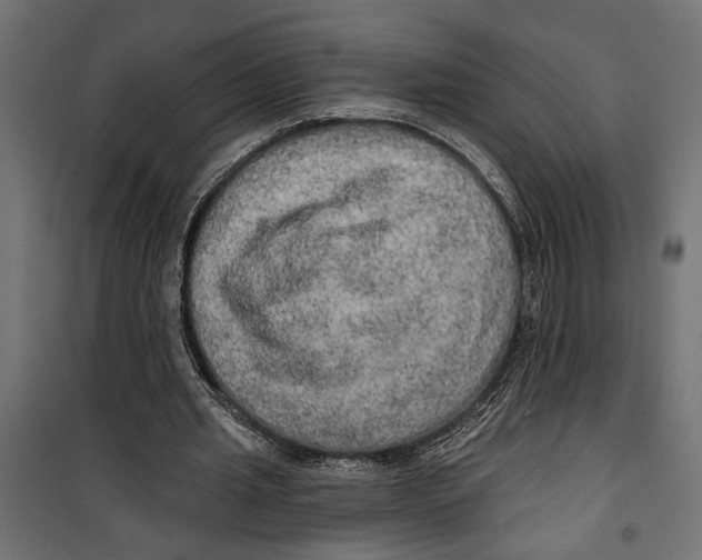 X0000099950437200806201317