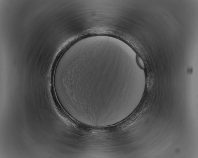 X0000099950438200806201317