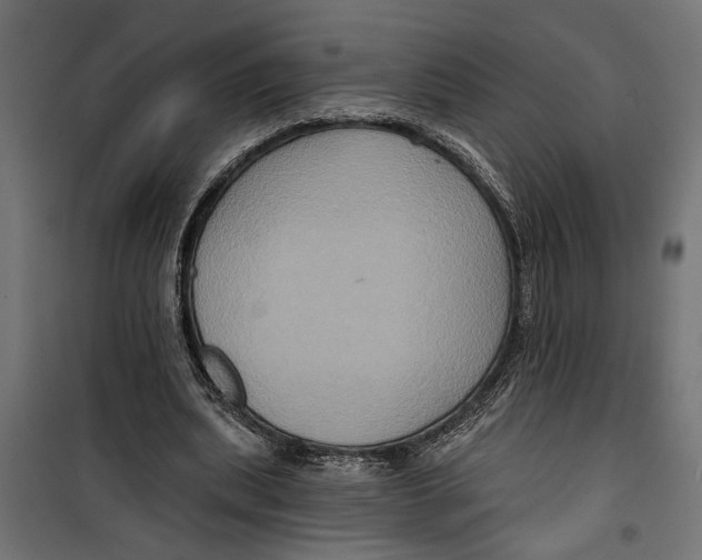 X0000099950439200806201317