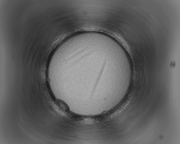 X0000099950441200806201317