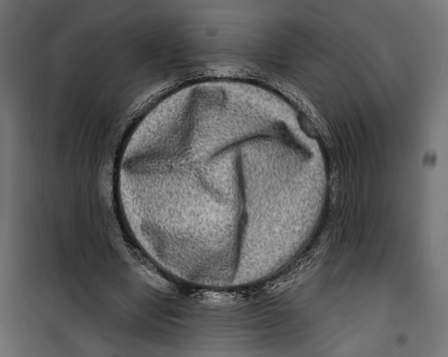 X0000099950442200806201317