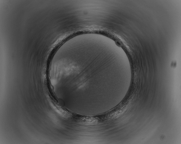 X0000099950443200806201317