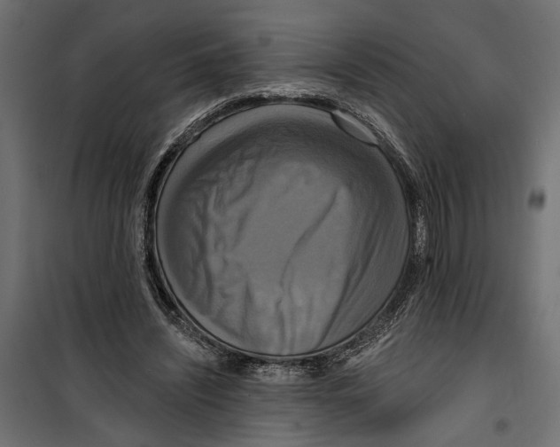 X0000099950444200806201317