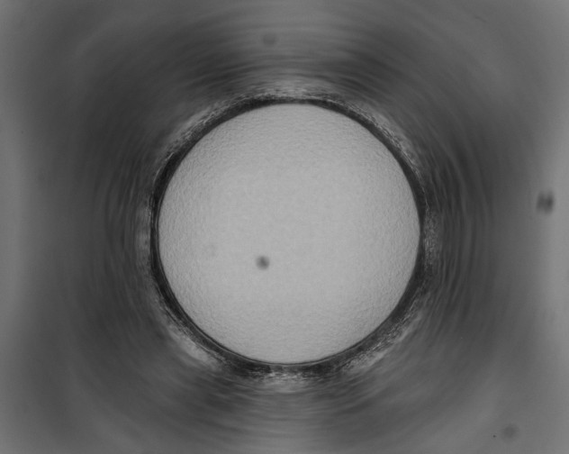X0000099950445200806201317