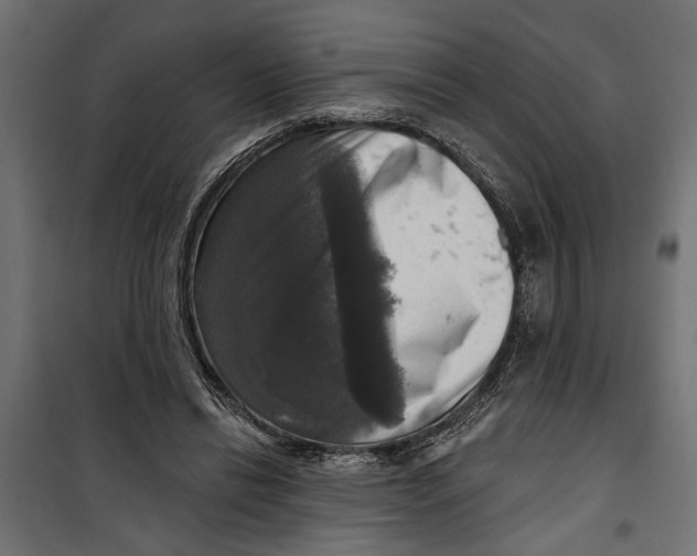 X0000099950446200806201317