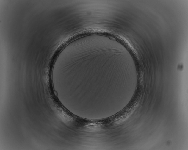 X0000099950447200806201317