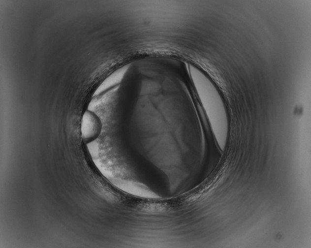 X0000099950449200806201317