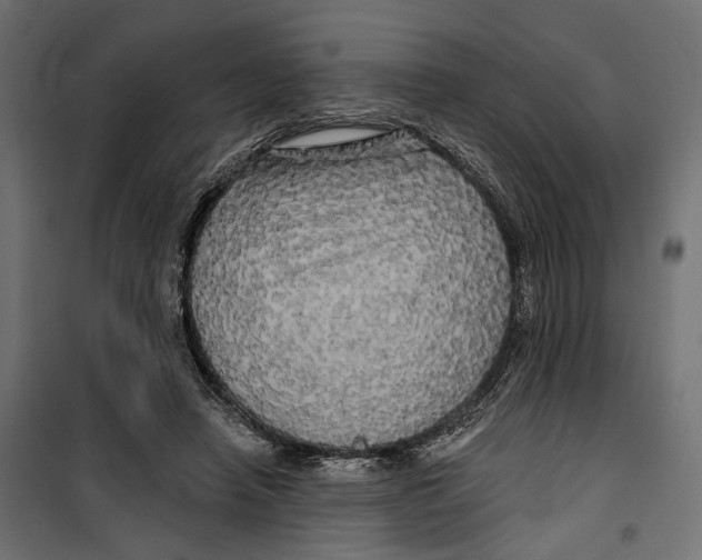 X0000099950450200806201317