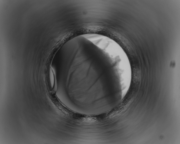 X0000099950451200806201317