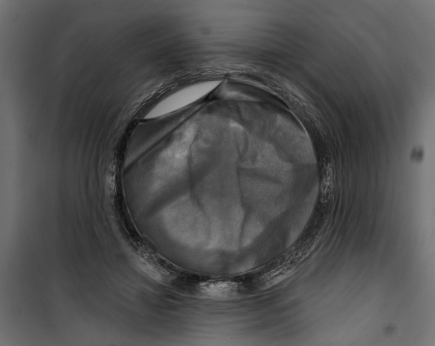 X0000099950452200806201317